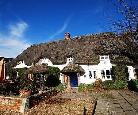The Hatchet Inn Chute Екстер'єр фото