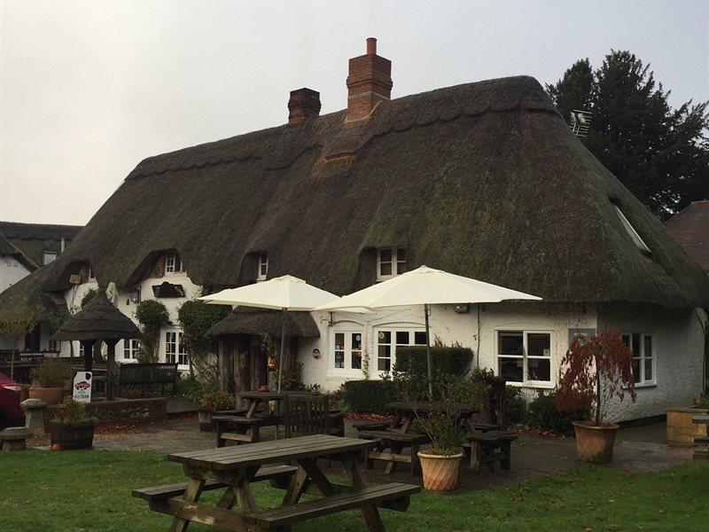 The Hatchet Inn Chute Екстер'єр фото
