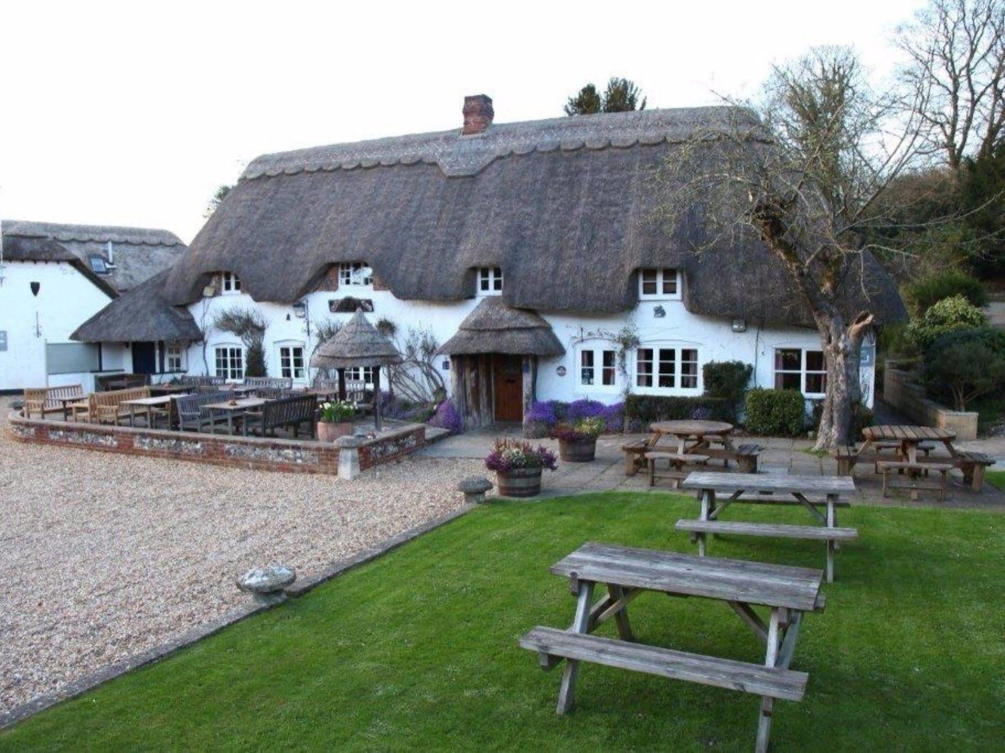 The Hatchet Inn Chute Екстер'єр фото