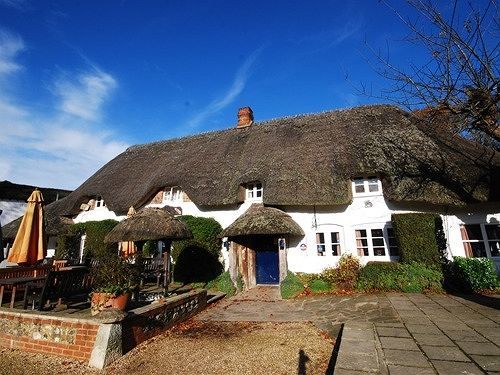 The Hatchet Inn Chute Екстер'єр фото